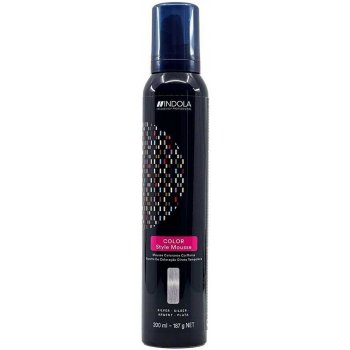 Indola Color style mousse barevné tužidlo Silver 200 ml