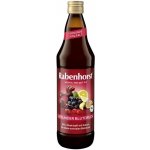 Rabenhorst Šťáva Krevní tlak 120/80 Bio 0,75 l – Zboží Mobilmania