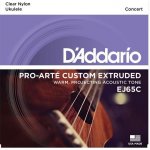 D'addario EJ65C – Sleviste.cz