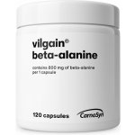 Vilgain Beta-alanine 120 kapslí – Hledejceny.cz