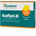 Himalaya Koflet H Ginger 12 pastilek – Hledejceny.cz