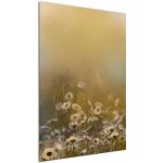 Obraz - Olejomalba sedmikrásek, jednodílný 60x90 cm