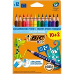 Bic Evolution Triangle 12 barev BIC 8871463 – Zboží Živě