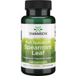 Swanson Máta Spearmint 400 mg 60 kapslí – Hledejceny.cz