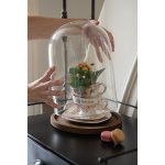 Clayre & Eef Dřevěný podnos se skleněným krytem 23x29cm – Zboží Dáma