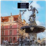 Zelmer ZBS1011 – Zboží Dáma