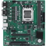 Asus PRO A620M-C-CSM 90MB1F80-M0EAYC – Zboží Živě