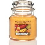 Yankee Candle vosk do aromalampy Mango Peach Salsa 22 g – Hledejceny.cz