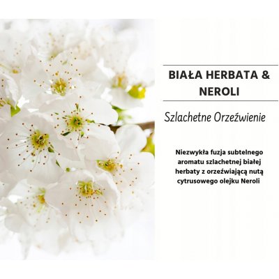 Baylis & Harding tekuté mýdlo na ruce White tea & Neroli 500 ml – Zboží Mobilmania