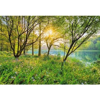 Komar 8-524 Fototapeta Spring Lake Rozměr 368 x 254 cm