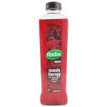 Radox Muscle Therapy pěna do koupele 500 ml – Zbozi.Blesk.cz