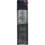 Windsor Sensitive Men pěna na holení 200 ml – Zboží Dáma Windsor Sensitive Men pěna na holení 200 ml – Zboží Dáma