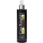 Casa Rinaldi Balsamikový ocet tmavý ve spreji 250 ml – Zboží Dáma