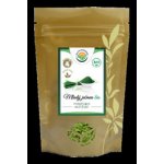 Salvia Paradise Mladý zelený ječmen BIO 1 kg – Hledejceny.cz