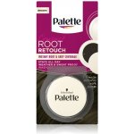 Schwarzkopf Palette Compact Root Retouch vlasový korektor Brown 3 g – Zboží Dáma