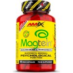 Amix Magtein Magnesium L-Threonate 90 kapslí – Hledejceny.cz