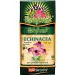 Vitaharmony echinacea 500 mg 90 tablet – Zbozi.Blesk.cz