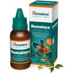 Himalaya Rumalaya Forte 60 tablet – Hledejceny.cz