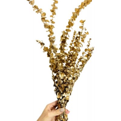 Stabilizovaný eukalyptus BABY zlatý – Zboží Dáma