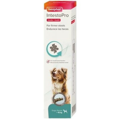 Beaphar IntestoPro pasta na trávení pro psy 40 ml – Hledejceny.cz