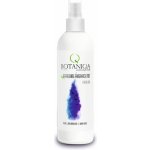 Botaniqa Osvěžující vonná mlha Fresh Love vonná mlha 250 ml – Zboží Mobilmania