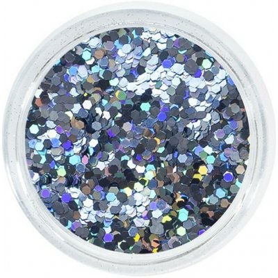 Aglia EXTREME GRAPHITE HOLOGRAM glitry na nehty 2 g – Hledejceny.cz