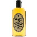 Morgan's Spiced Rum vlasové tonikum 250 ml