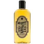 Morgan's Spiced Rum vlasové tonikum 250 ml – Hledejceny.cz