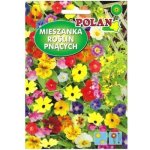 Selgros111 Směs popínavých květin – Zboží Dáma