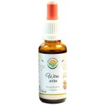 Salvia Paradise Wira Wira AF tinktura 30 ml – Zboží Mobilmania