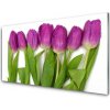 Obraz akrylový obraz Tulipány Květiny Rostlina 100x50 cm