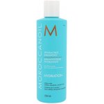 Moroccanoil Hydrating Shampoo 1000 ml – Hledejceny.cz