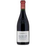 Tarapacá Carmenere Gran Reserva 2021 14% 0,75 l (holá láhev) – Sleviste.cz