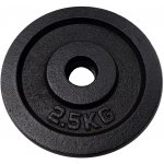 KUBIsport Kotouč litina 2,5 kg 30 mm – Zboží Mobilmania