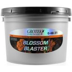 Grotek Blossom Blaster 20 g – Hledejceny.cz