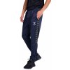 Pánské tepláky Hummel HMLAUTHENTIC TRAINING pants 219985-7026