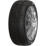 Minerva Frostrack UHP 205/45 R17 88V