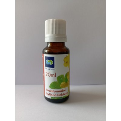 Divine Way Bioinformační bylinná tinktura 20 ml – Hledejceny.cz