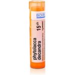 PHYTOLACCA DECANDRA POR 30CH GRA 4G – Hledejceny.cz