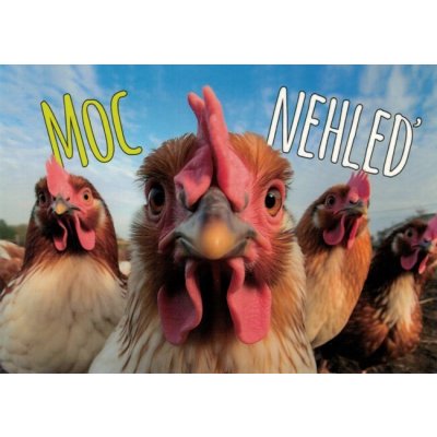 Pohlednice Moc nehleď – Sleviste.cz