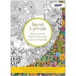 Omalovánky antistresové Návrat k přírodě 210x290/32s – Zboží Dáma