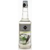 Šťáva Rioba sirup Mojito - mojitový sirup 0,7l