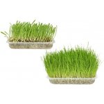 Nobby Tráva 100 g – Zboží Mobilmania