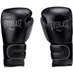 Everlast Power Lock 2 Premium – Hledejceny.cz