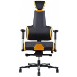 Prowork Therapia E+ Gamer Black/Orange HX50/CX11 – Hledejceny.cz