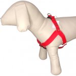 Palkar motýlek postroj pro psy – Zbozi.Blesk.cz