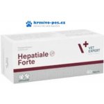VetExpert Hepatiale Forte Large Breed 40 tbl – Zboží Mobilmania