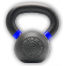 Ariana PowerSystem KETTLEBELL EVO 12kg