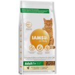 Iams Cat Adult Chicken 2 kg – Zboží Mobilmania