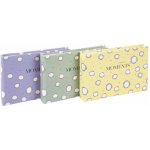 Goldbuch Paris, 10x15/40 – Zboží Živě